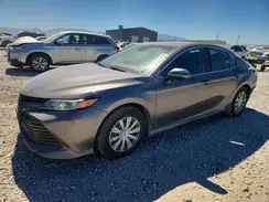 4T1C31AK4LU017497 2020 TOYOTA CAMRY