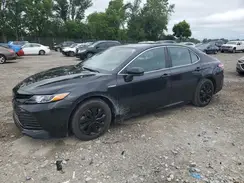 4T1C31AK4LU519586 2020 TOYOTA CAMRY