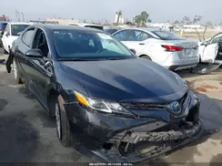 4T1C31AK4LU530457 2020 TOYOTA CAMRY