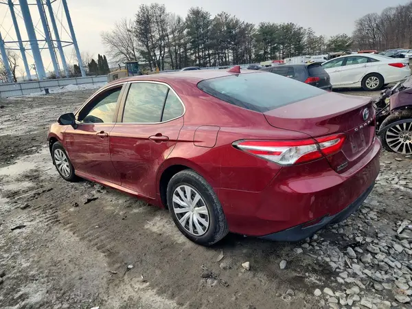 4T1C31AK4LU533732 2020 TOYOTA CAMRY - Image 2