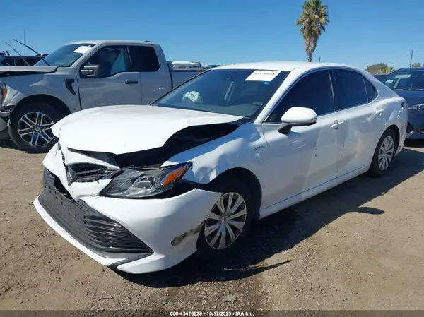 4T1C31AK4LU533830 2020 TOYOTA CAMRY - Image 2