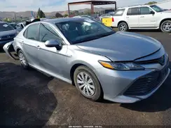 4T1C31AK4LU534329 2020 TOYOTA CAMRY