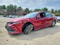 4T1C31AK4LU536694 2020 TOYOTA CAMRY