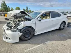 4T1C31AK4LU542429 2020 TOYOTA CAMRY