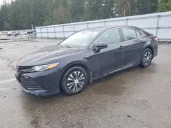 4T1C31AK4LU543435 2020 TOYOTA CAMRY