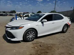 4T1C31AK4LU545976 2020 TOYOTA CAMRY