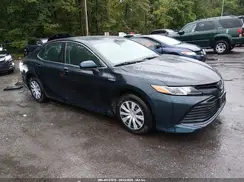 4T1C31AK4LU546335 2020 TOYOTA CAMRY
