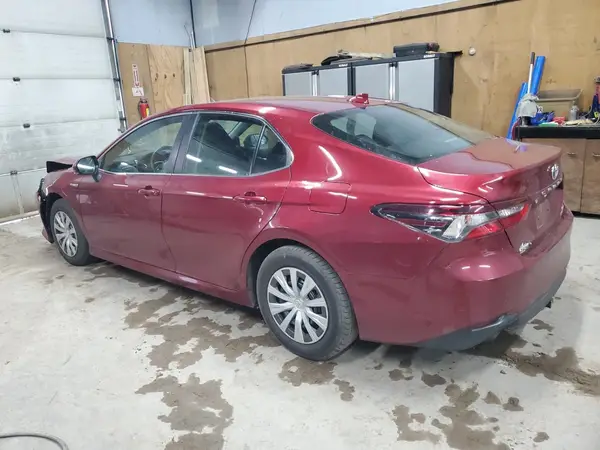 4T1C31AK4MU556395 2021 TOYOTA CAMRY - Image 2