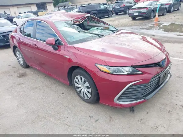 4T1C31AK4MU566392 2021 TOYOTA CAMRY - Image 1