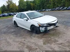 4T1C31AK5LU013782 2020 TOYOTA CAMRY