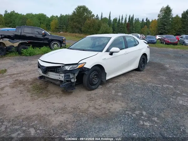 4T1C31AK5LU013782 2020 TOYOTA CAMRY - Image 2