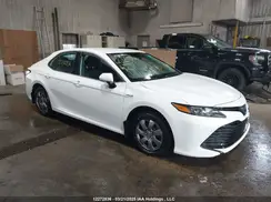 4T1C31AK5LU014754 2020 TOYOTA CAMRY