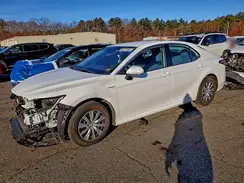 4T1C31AK5LU518429 2020 TOYOTA CAMRY