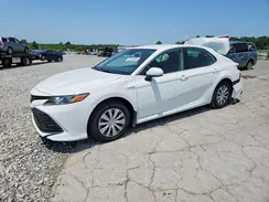 4T1C31AK5LU524506 2020 TOYOTA CAMRY