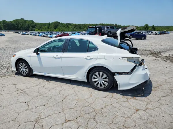 4T1C31AK5LU524506 2020 TOYOTA CAMRY - Image 2
