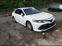 4T1C31AK5LU524926 2020 TOYOTA CAMRY
