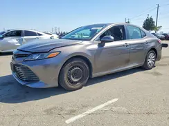 4T1C31AK5LU525171 2020 TOYOTA CAMRY