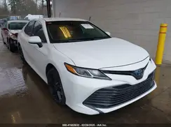 4T1C31AK5LU528748 2020 TOYOTA CAMRY
