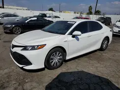 4T1C31AK5LU528782 2020 TOYOTA CAMRY