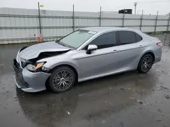 4T1C31AK5LU531584 2020 TOYOTA CAMRY