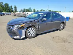 4T1C31AK5LU532816 2020 TOYOTA CAMRY