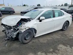 4T1C31AK5LU533819 2020 TOYOTA CAMRY
