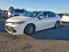 4T1C31AK5LU534095 2020 TOYOTA CAMRY