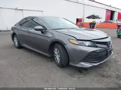 4T1C31AK5LU535800 2020 TOYOTA CAMRY