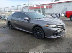 4T1C31AK5LU539264 2020 TOYOTA CAMRY