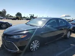 4T1C31AK5MU553795 2021 TOYOTA CAMRY