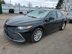 4T1C31AK5PU046612 2023 TOYOTA CAMRY