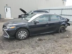 4T1C31AK5PU053625 2023 TOYOTA CAMRY