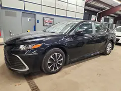 4T1C31AK5PU055309 2023 TOYOTA CAMRY