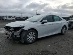 4T1C31AK5PU055343 2023 TOYOTA CAMRY