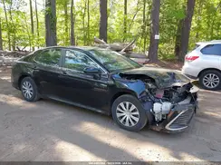 4T1C31AK5PU603969 2023 TOYOTA CAMRY