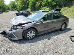 4T1C31AK5PU609111 2023 TOYOTA CAMRY