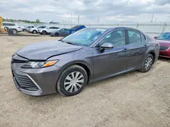 4T1C31AK5PU611960 2023 TOYOTA CAMRY