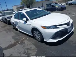 4T1C31AK6LU013824 2020 TOYOTA CAMRY