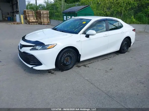 4T1C31AK6LU518651 2020 TOYOTA CAMRY - Image 2