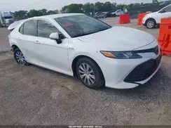 4T1C31AK6LU528189 2020 TOYOTA CAMRY