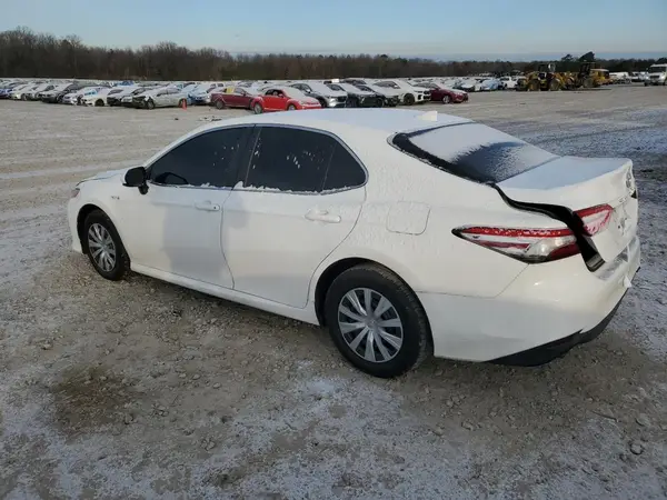 4T1C31AK6LU529004 2020 TOYOTA CAMRY - Image 2