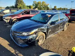 4T1C31AK6LU529259 2020 TOYOTA CAMRY