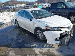 4T1C31AK6LU539208 2020 TOYOTA CAMRY