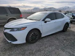 4T1C31AK6LU541296 2020 TOYOTA CAMRY