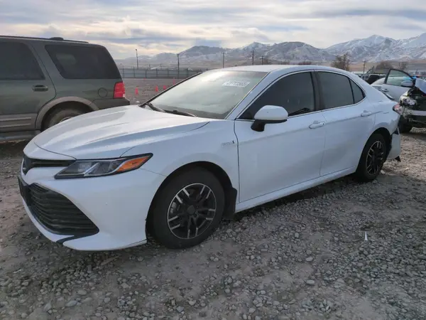 4T1C31AK6LU541296 2020 TOYOTA CAMRY - Image 1
