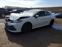 4T1C31AK6MU031919 2021 TOYOTA CAMRY