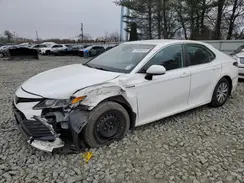 4T1C31AK6MU550338 2021 TOYOTA CAMRY