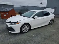 4T1C31AK6MU565387 2021 TOYOTA CAMRY