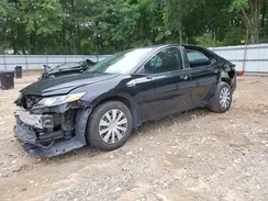 4T1C31AK6MU567219 2021 TOYOTA CAMRY