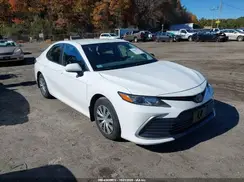 4T1C31AK6PU600899 2023 TOYOTA CAMRY
